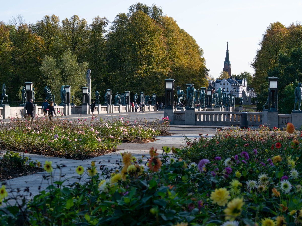 Pandemic Blues: Lonely New&nbsp;Life